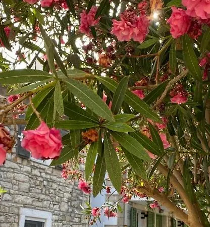 Guest house Tolos Budget Loggos Longos (Paxos)