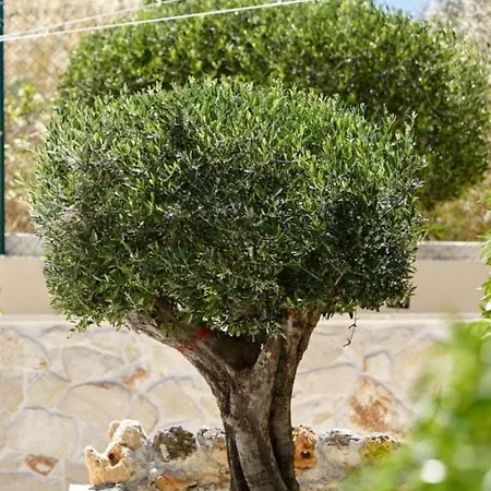 Tolos Budget Loggos Maison d'hôtes Longós