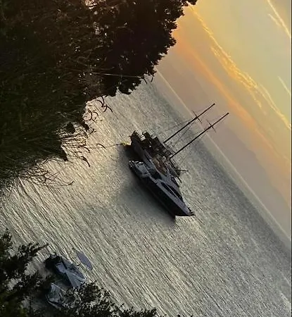 Tolos Budget Loggos Λογγός