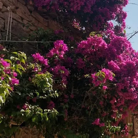 Tolos Budget Loggos * Longos (Paxos)